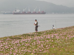 早朝　ヒルガオ、釣り人、船 079